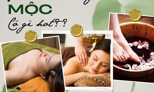 Gội đầu dưỡng sinh chuẩn Trung Hoa