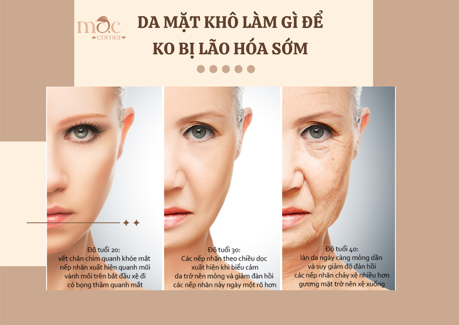 /Upload/image/2023/10/25/upload_tranh-lao-hoa-cho-da-kho_251023-103252.png
